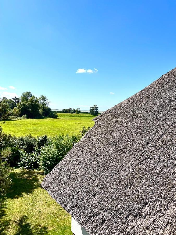 Zur Alten Boddenfischerei Ferienwohnung Heidezauber Neuendorf Heide Eksteriør billede