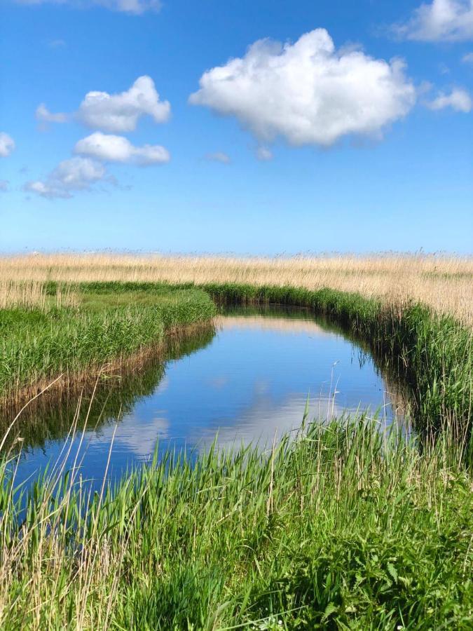 Zur Alten Boddenfischerei Ferienwohnung Heidezauber Neuendorf Heide Eksteriør billede